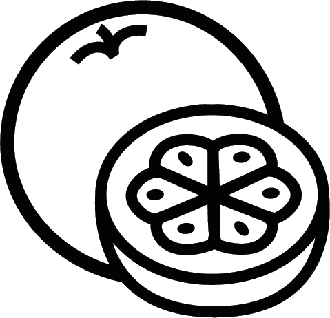 Icon Mönchsfrucht