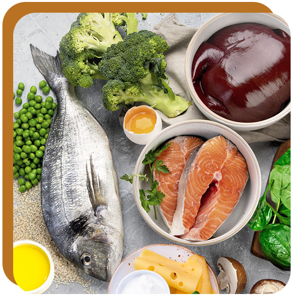 Nahrungsmittel-Quellen für Vitamin D3 und K2