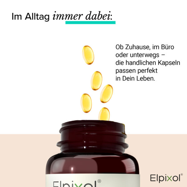 Algenöl Kapseln mit 500 mg EPA + DHA – Bild 2