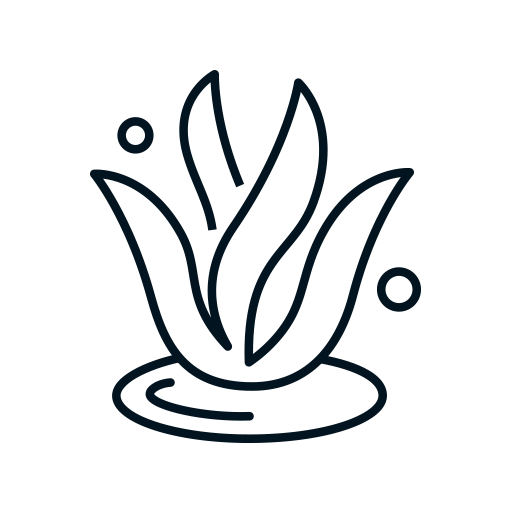 Icons Algen