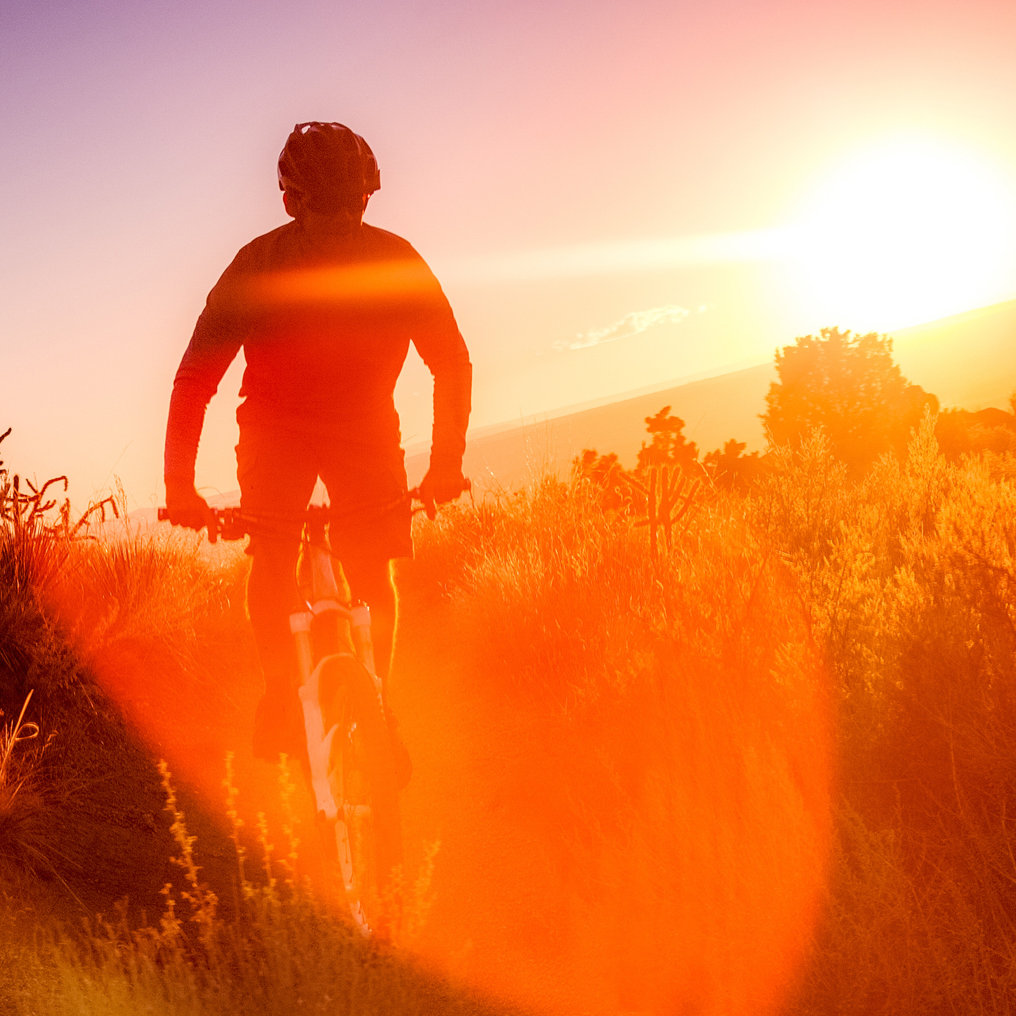 wärmendes Elpixol Cannabis Gel - Mood