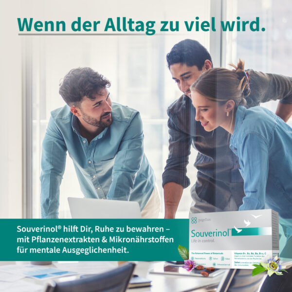 Souverinol - Life in Control