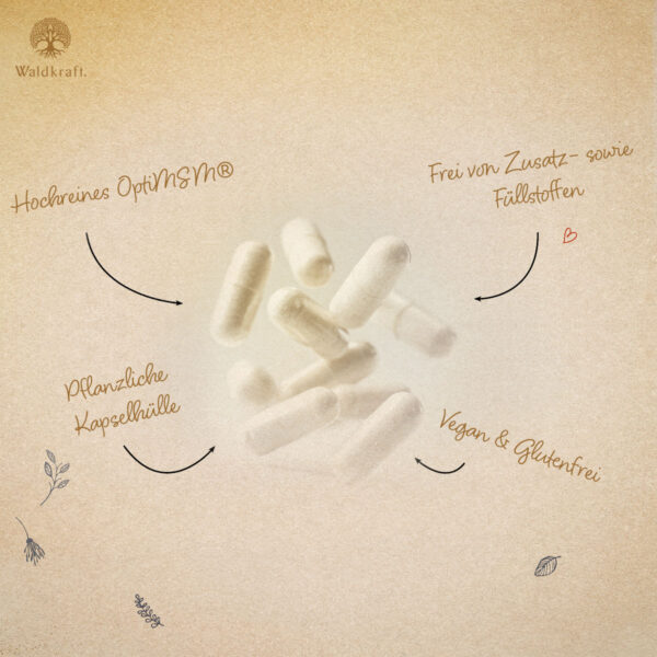 MSM Premium mit OptiMSM® - 120 Kapseln – Bild 2