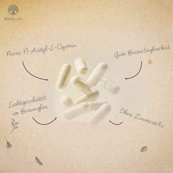 NAC - N-Acetyl-L-Cystein - 120 Kapseln – Bild 2