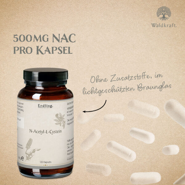 NAC - N-Acetyl-L-Cystein - 120 Kapseln – Bild 4