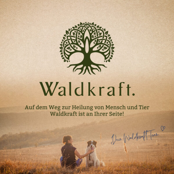 NAC - N-Acetyl-L-Cystein - 120 Kapseln – Bild 7