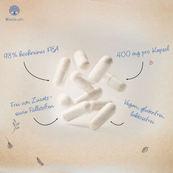 PEA Kapseln – Bild 2