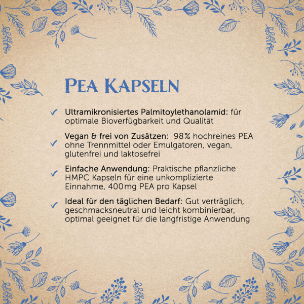 PEA Kapseln – Bild 3
