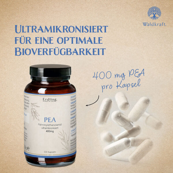 PEA Kapseln – Bild 4