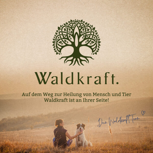 PEA Kapseln – Bild 7