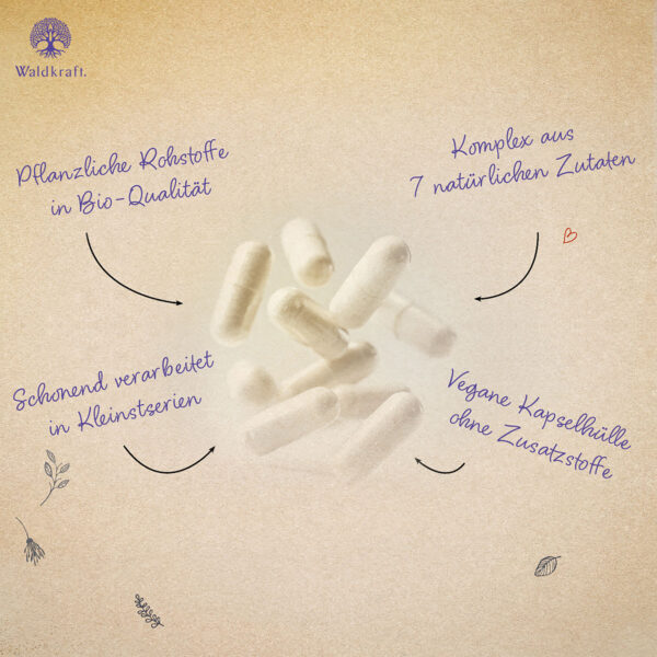 Erdling Lungenkraut Komplex Kapseln von Waldkraft