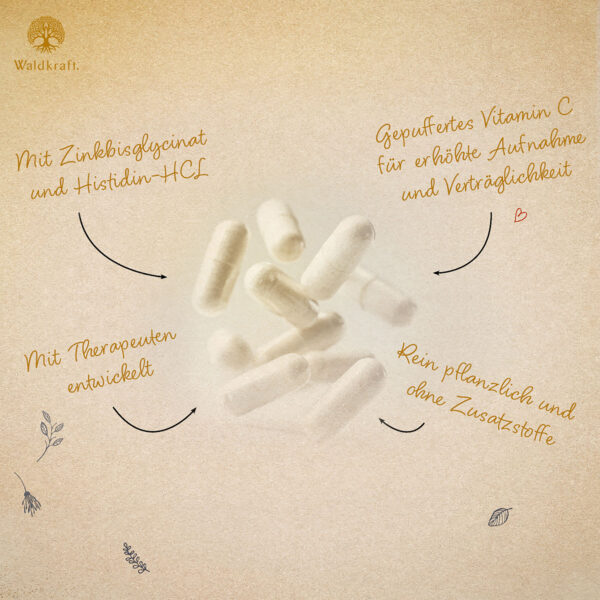 Vitamin C Komplex mit Zink + Histidin – 120 Kapseln – Bild 2
