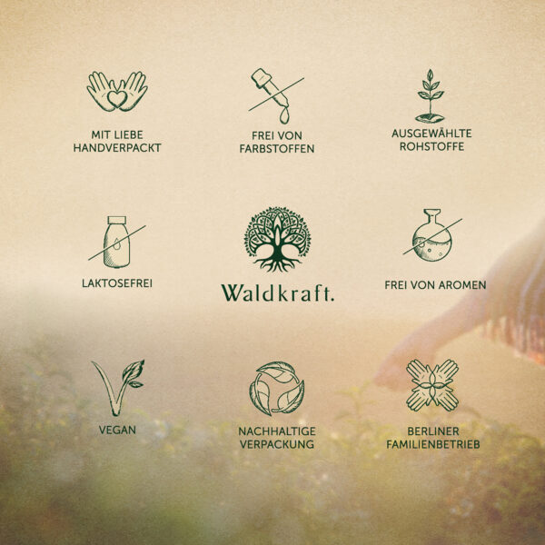 Vitamin C Komplex mit Zink + Histidin – 120 Kapseln – Bild 5