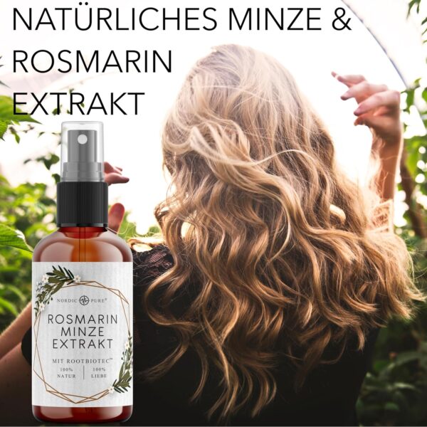 Rosmarin Minze Extrakt von Nordic Pure - Mood1