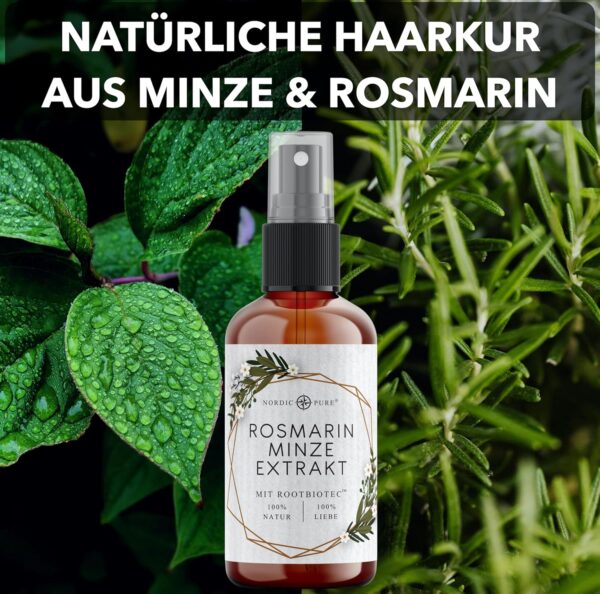 Rosmarin Minze Extrakt von Nordic Pure - Mood