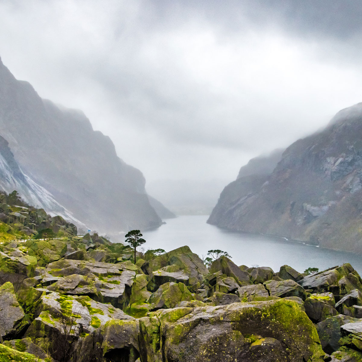 Nordic Pure Zeolith Pulver - Norwegen