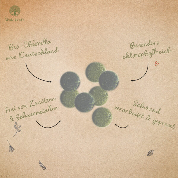Bio Chlorella Presslinge - 220 Stück – Bild 2