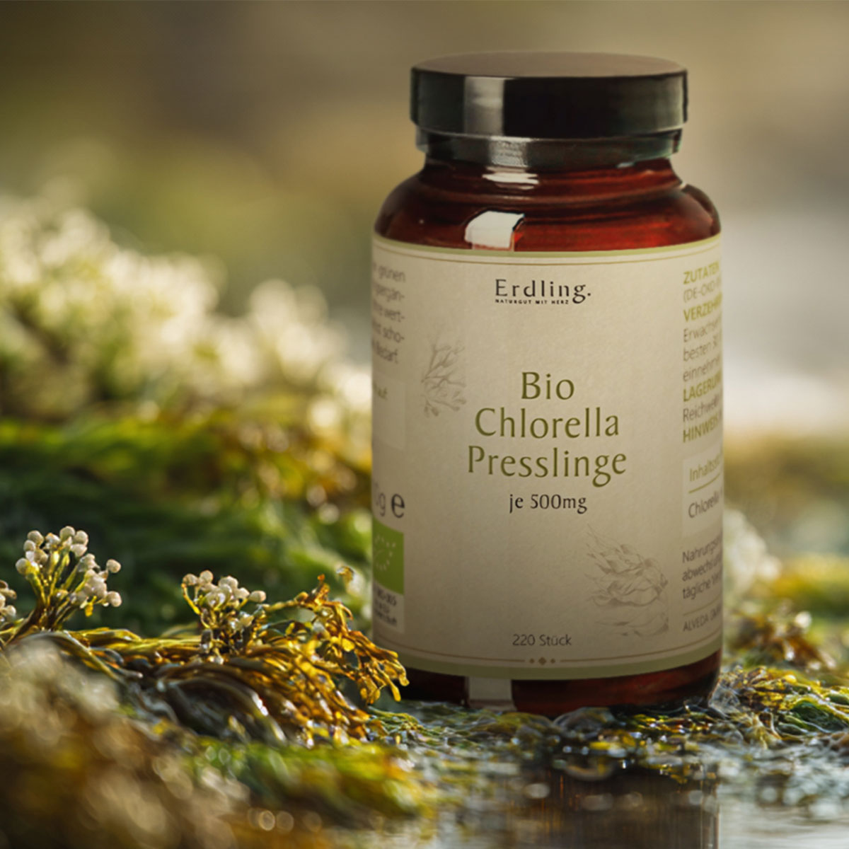WALKRAFT_Chlorella_-Presslinge_mood2 Erdling Bio Chlorella Presslinge von Waldkraft