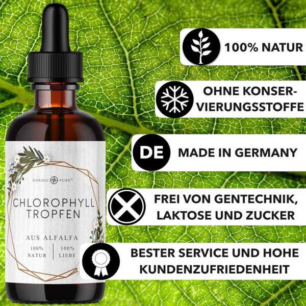 Chlorophyll-Tropfen aus Alfalfa – Bild 3