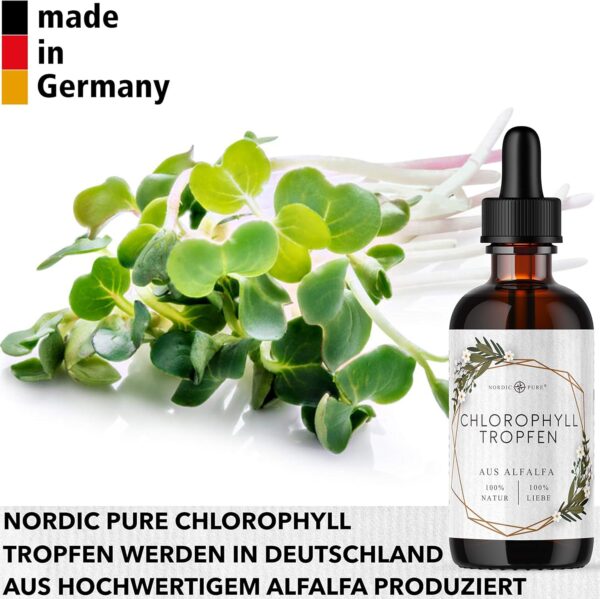 Chlorophyll-Tropfen aus Alfalfa – Bild 4
