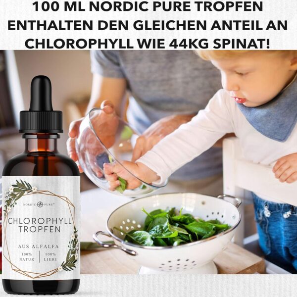 Chlorophyll-Tropfen aus Alfalfa – Bild 7