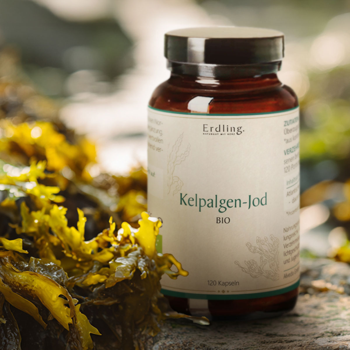 waldkraft-kelpalgen-jod-kapseln-mood-2 Erdling Bio Kelpalgen Jod Kapseln