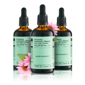 Bundle_Echinacea