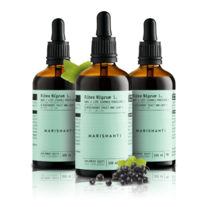 Bundle Johannisbeere