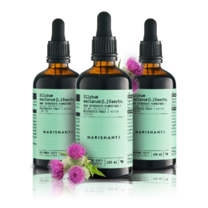 Bundle Mariendistel
