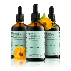 Bundle Ringeblume