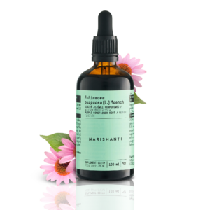 Echinacea 01_Clear Packshot