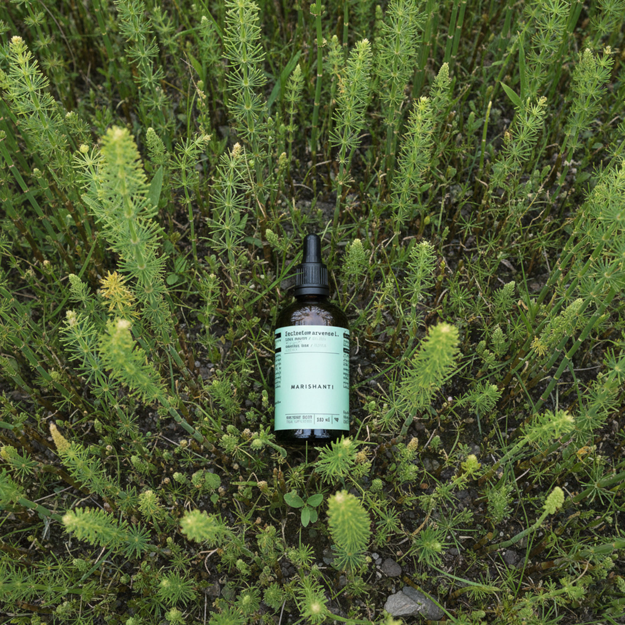 Marishanti Schachtelhalm Extrakt