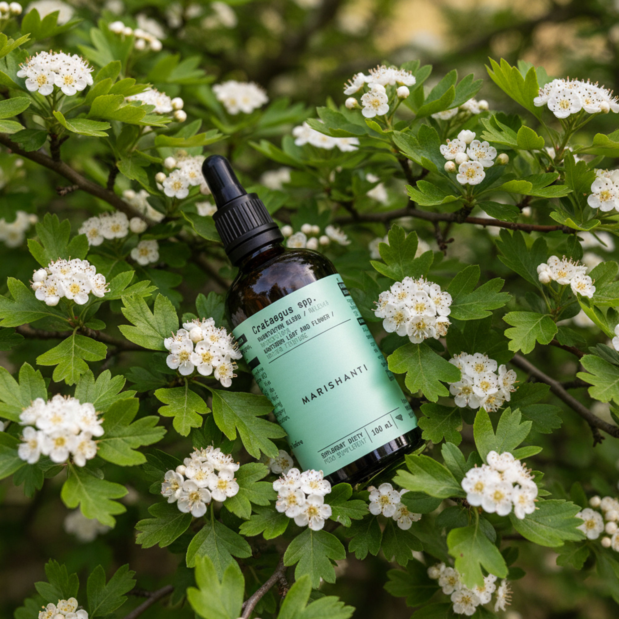 Marishanti Weißdorn Extrakt