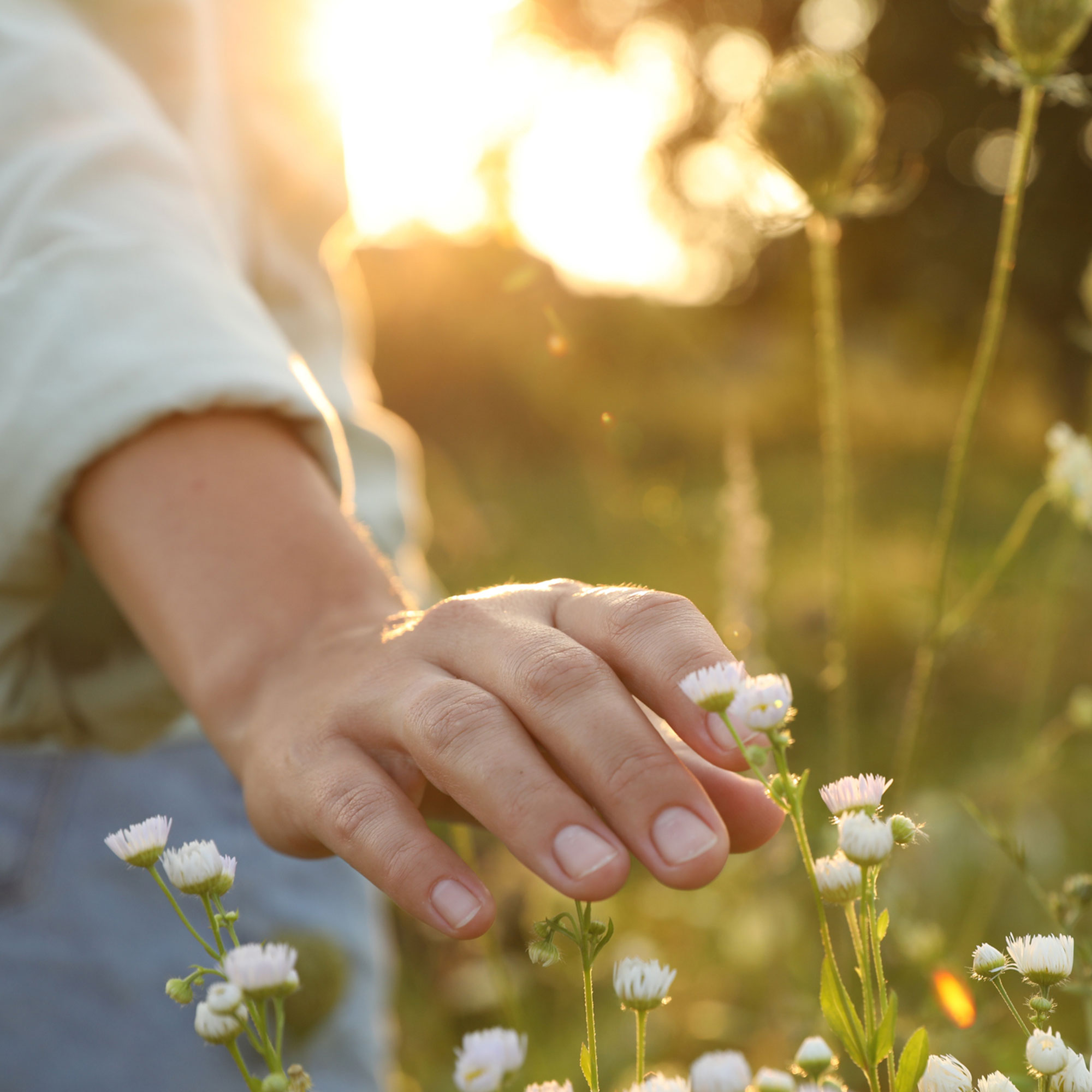 Marishanti Markensseite - Frau streicht mit Hand über Wildwiese