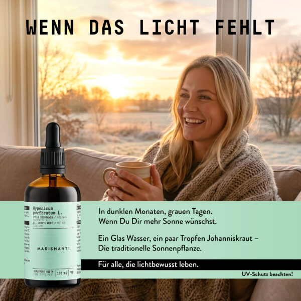 Marishanti Löwerzahnwurzel Extrakt Product in action