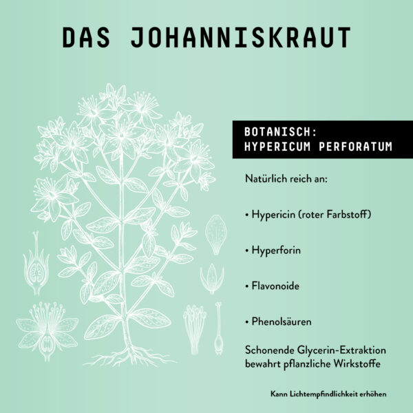 Marishanti Johanniskraut Extrakt The science behind