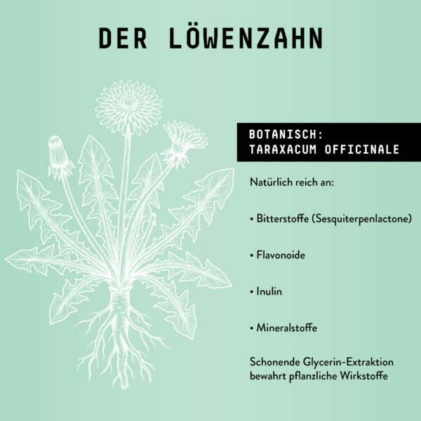 Marishanti Löwerzahnwurzel Extrakt The science behind