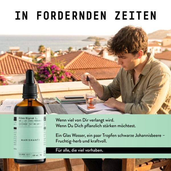 Marishanti Schwarze Johannisbeere Extrakt Product in action