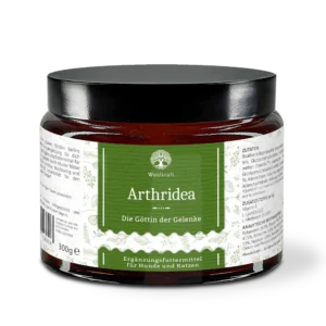 Arthridea Kollagen Gelenkpulver