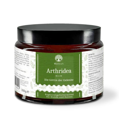 Arthridea Kollagen Gelenkpulver